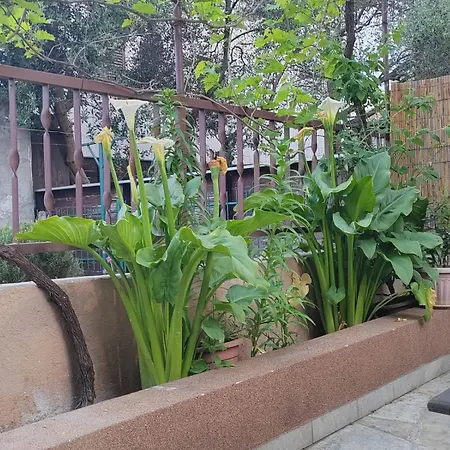 Appartement Oli Zadar