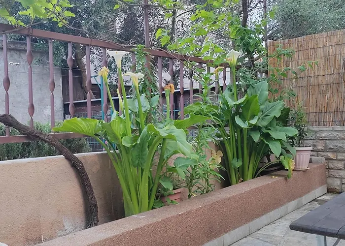 Appartement Oli Zadar